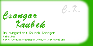 csongor kaubek business card